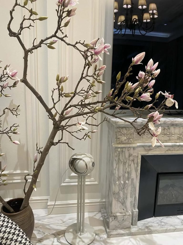Phantom Ultimate 98 dB chụp thực tế tại showroom Loa Devialet Việt Nam